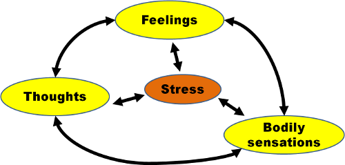 The Vicious Negative Feedback Loop of Stress